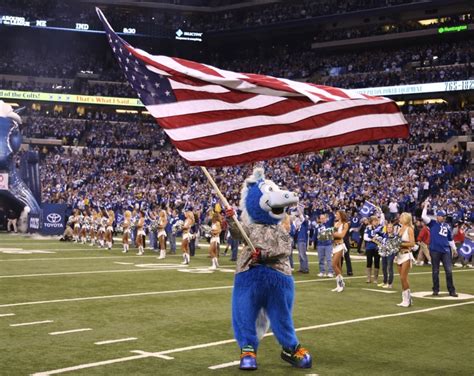 Colts Mascot Blue Named Mascot Of The Year