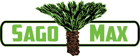 The first emit a lateral spike that can reach 60cm in height; Sago Max - Beautifying Sago palm trees