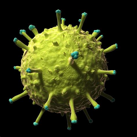 These Viruses Look Beautiful Up Close But Would Kill You If They