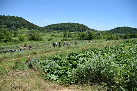 Pesto Fest At Vermont Valley Community Farm Farm Fresh Atlas