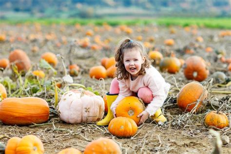 How To Pick A Pumpkin 5 Tips For Picking The Perfect Pumpkins At The