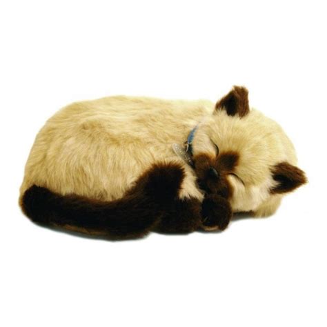 Видео perfect petzzz канала bubbleglass. Perfect Petzzz Breathing & Sleeping Toy Kitten - Tan ...