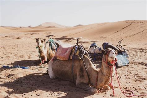 It may not display this or other websites correctly. 10 Things to Know About Visiting The Morocco Desert - The ...