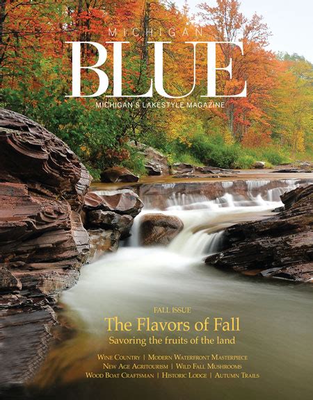 Michigan Blue Issue Archive Michigan Blue Magazine