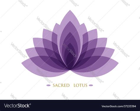 Purple Lotus Flower Life Sacred Geometry Logo Vector Image