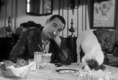 Jean dujardin george clooney melanie laurent martin scorsese daniel craig actors male actors & actresses male celebrities the artist. A Tribute to Uggie (2002-2015), Four-Legged Star of The ...