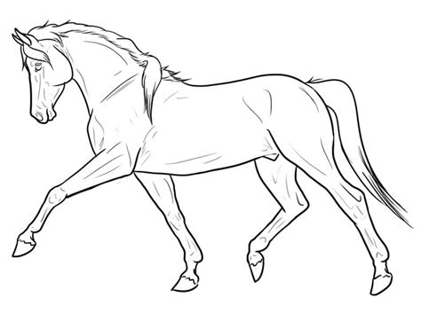 Dibujos de Caballos De Caballos ? Web especializada en Caballos y su
