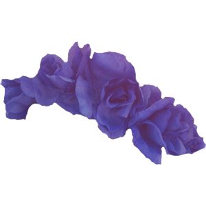 Flower crown png images Transparent