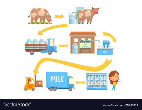 Production And Processing Milk Stages Set Of Vector Image