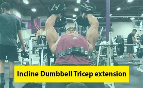 How To Do Incline Dumbbell Tricep Extension Properly Optimalbodypill