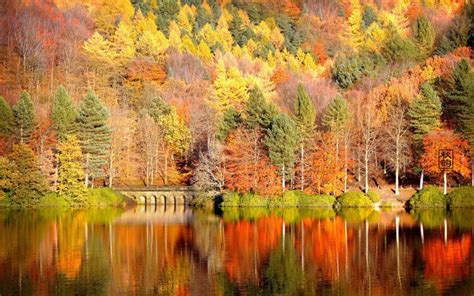 Free Download This Bing Wallpaper Images Autumn And Amazing Animated