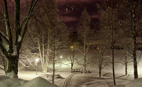 Park Winter Ski Tree Snow Night Lights Light Hd Wallpaper