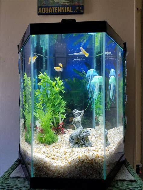 I hear a lot of advice that goes something like, for the price of a 5 gallon tank you could get a 10 gallon and have more fish.. #week2 new tank by Elsa 20 gallons, hexagon from Petsmart ...