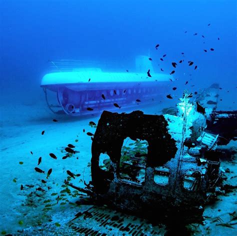 Atlantis Submarines Undersea Tour Waikiki