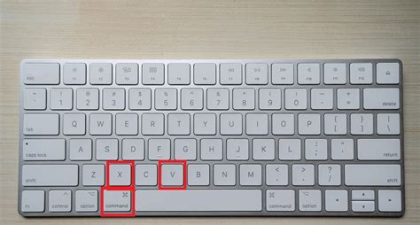 Cómo copiar y pegar con el teclado Windows y Mac