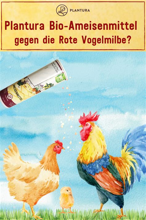 Ein ebenfalls wirksames mittel gegen ameisen ist kreide. Ameisenmittel InsectoSec® / 150 g | Ameisen, Schädlinge im ...