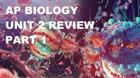 Ap Biology Unit 2 Review 2023 Youtube