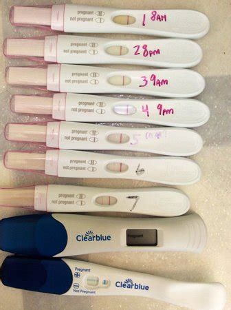 Your goal is to pass the interrogation without exposing the fact that you're guilty of the crime. How Soon After Frozen Embryo Transfer Can I Take A Home ...