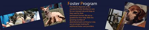 Paw Works: Cat & Dog Adoption | Animal Rescue in Ventura ...