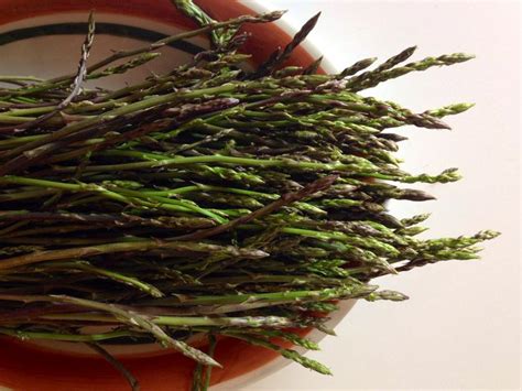 Gli asparagi selvatici iniziano a comparire sul finire dell'inverno e regalano raccolti generosi per gli asparagi selvatici sono caratterizzati dal tipico sapore amarognolo, ideale per le più svariate ricette. Le ricette di Lorena: gli asparagi selvatici