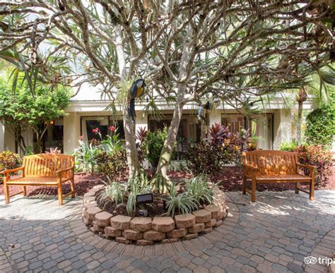 The holiday inn beach resort offers comfortable and spacious rooms overlooking sanibel's breathtaking white sandy beaches and swaying palm trees. Holiday Inn Sanibel Island (Sanibel Island, FL) 2019 ...