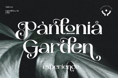 Catilde Modern Typeface On Behance