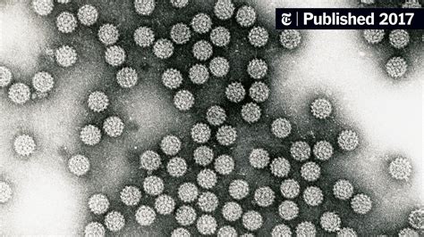 Close To Half Of American Adults Infected With Hpv Survey Finds The