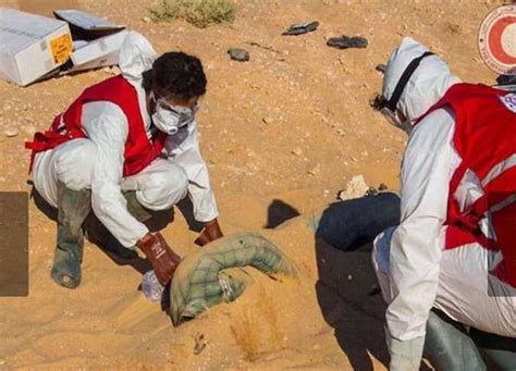الهلال الأحمر الليبي جثث الضحايا المصريين مازالت في الصحراء المصري اليوم