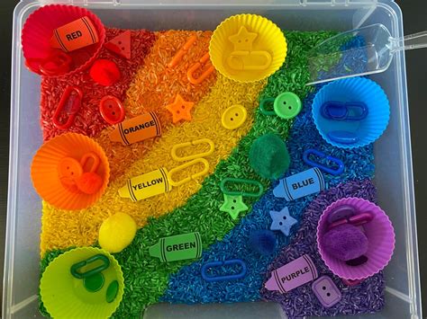 Toys Learning & School Pets Sensory Bin Kid\u2019s birthday gift