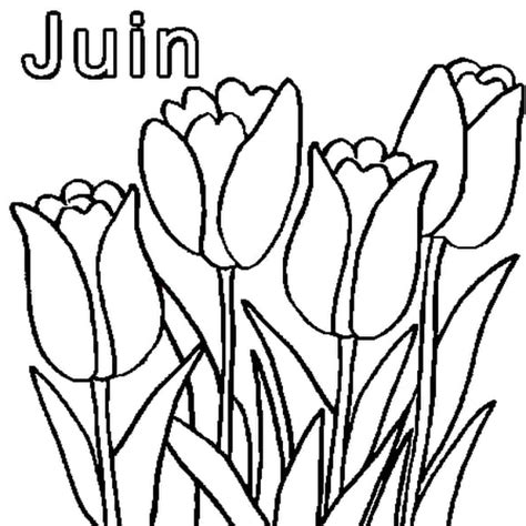 MOIS DE JUIN  Coloriage Mois de juin en Ligne Gratuit a imprimer sur