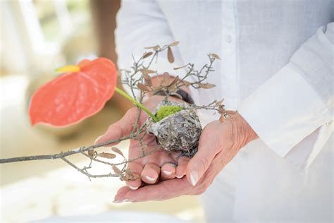 En kaliteli markalar kampanyalı ve en uygun fiyat avantajı ile sadece dolap.com'da. Flower Power - Vero Beach Magazine