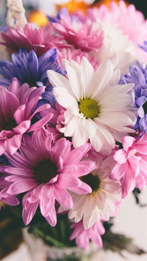 Wallpaper Iphone Flowers ⚪️ Papéis De Parede Pinterest
