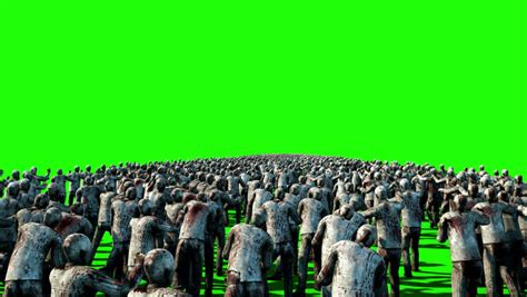 Crowd Of People Green Screen These People Are Real Shot On Green