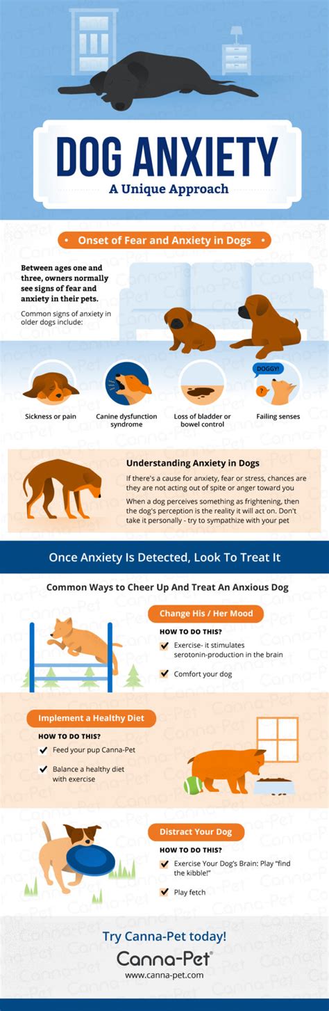 Dog Anxiety And Natural Remedies A Complete Guide Canna Pet