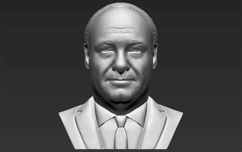 Jun 01, 2021 · the role he hoped to bring to life was that of the man who kills new jersey mob boss tony soprano (played by james gandolfini) and riding off into the sunset with his wife, carmela (played by edie. Tony Soprano bust printing ready stl 3D printable model 1