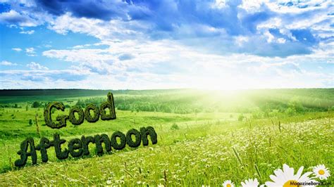 Good Afternoon Pictures Images And Gallery Collection Amazing Photo Stock