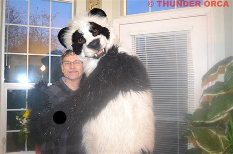 My Panda Fursuit Part 18 — Weasyl