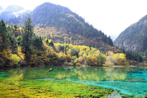 Five Flower Lake Jiuzhaigou Stock Image Image Of Flower Heaven