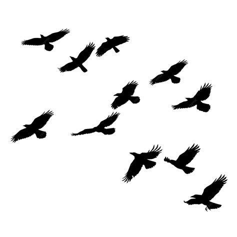 Flying Crow Outline Template