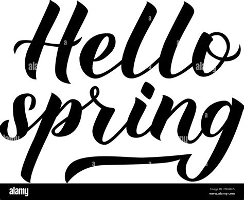 Hello Spring Calligraphy Lettering Isolated On White Inspirational