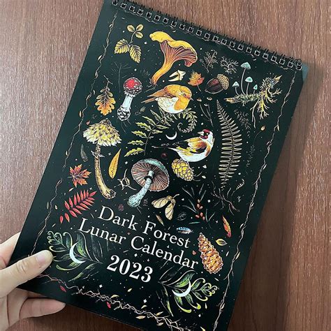 Nymånekalender 2023 Dark Forest Månekalender Med 12 Illustrationer