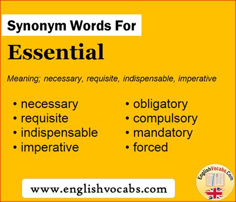 Synonym For Detailed What Is Synonym Word Detailed English Vocabs