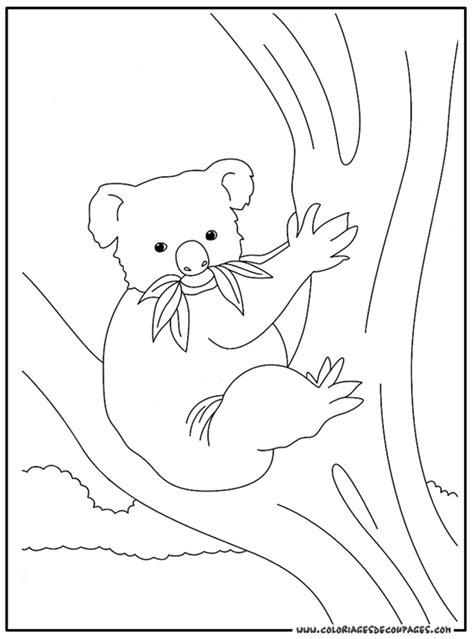 77 Dessins De Coloriage Koala à Imprimer Sur Page 6