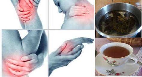 We did not find results for: Inilah Bahan - Bahan Alami yang Ampuh Mėngobati Asam Urat ...