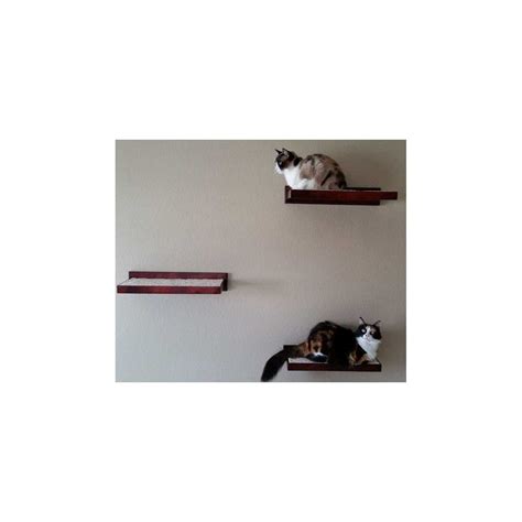 Perfect for your next catification project! Cat Furniture Climbing Wall Shelves