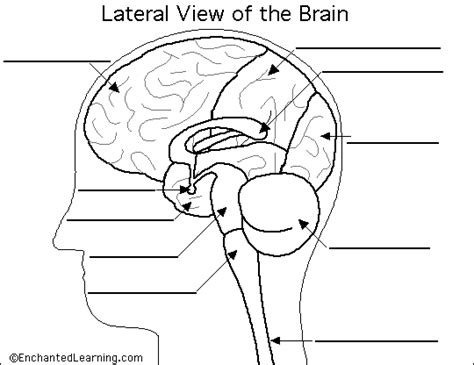 AP Psychology @AHS: Agenda: Thursday Sept. 15, 2011