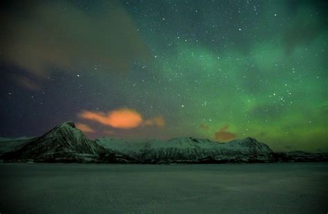 12 Things To Know About Visiting Northern Norway In Winter — Travel