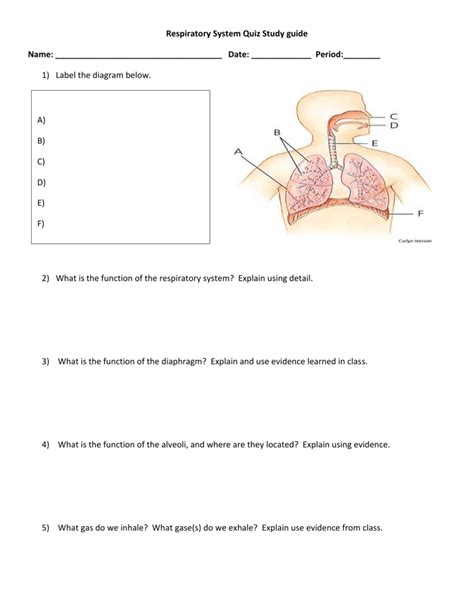 Respiratory System Quiz Study Guide Name Date Period