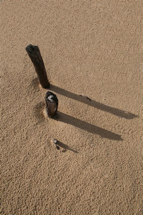 Free Images Nature Sand Wood Dune Floor Asphalt Line Shadow