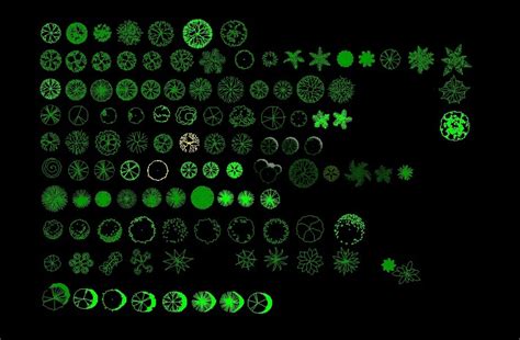 Bushes Drawing ~ Trees And Palm Trees Plants Top View Plan 2d Dwg Block